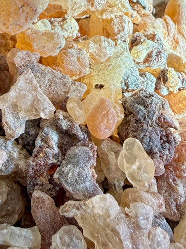 White Neglecta Frankincense Kenya (Boswellia Neglecta)